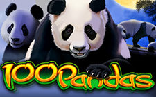 100 Pandas