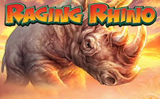 Racing Rhino
