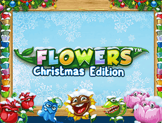 Flowers Christmas Edition