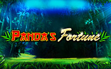 Panda's Fortune