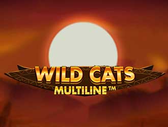 Wild Cats Multiline MUST DROP