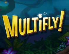 Multifly