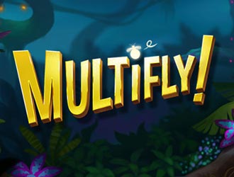 Multifly