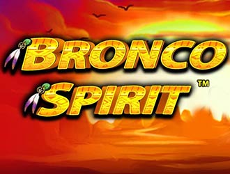 Bronco Spirit