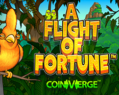 A Flight of Fortune™