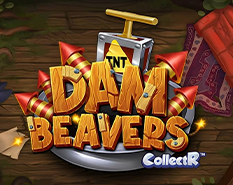 Dam Beavers