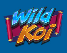 Wild Koi